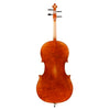 Antonio Scarlatti AS-305 Cello